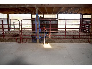 Property photo 91 - REAL ESTATE & PERSONAL PROPERTY AUCTION - 23.5+/- ACRES OFFERED IN 3 TRACTS OR COMBINATIONS IN EAST ALLEN COUNTY